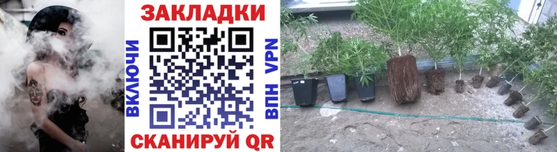 Где купить Плёс Канабис  COCAIN  Гашиш  Мефедрон 